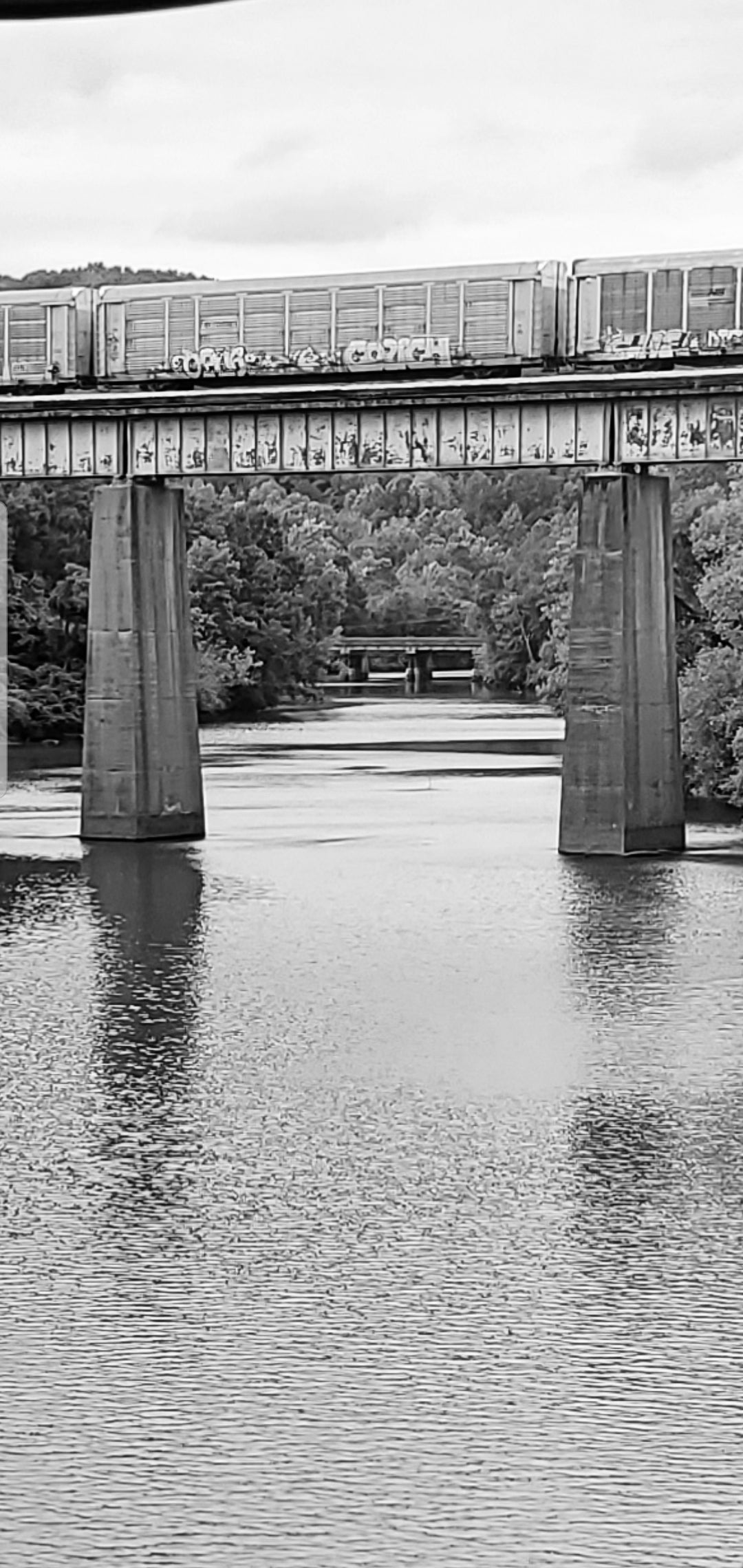 Double Bridges