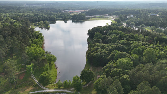 Great Lake View